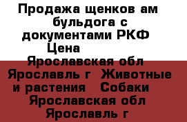 Продажа щенков ам. бульдога с документами РКФ › Цена ­ 45 000 - Ярославская обл., Ярославль г. Животные и растения » Собаки   . Ярославская обл.,Ярославль г.